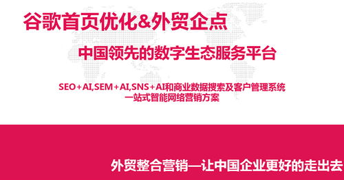 淄博外貿(mào)推廣領先選擇 淄博網(wǎng)泰科技助力企業(yè)全球市場拓展